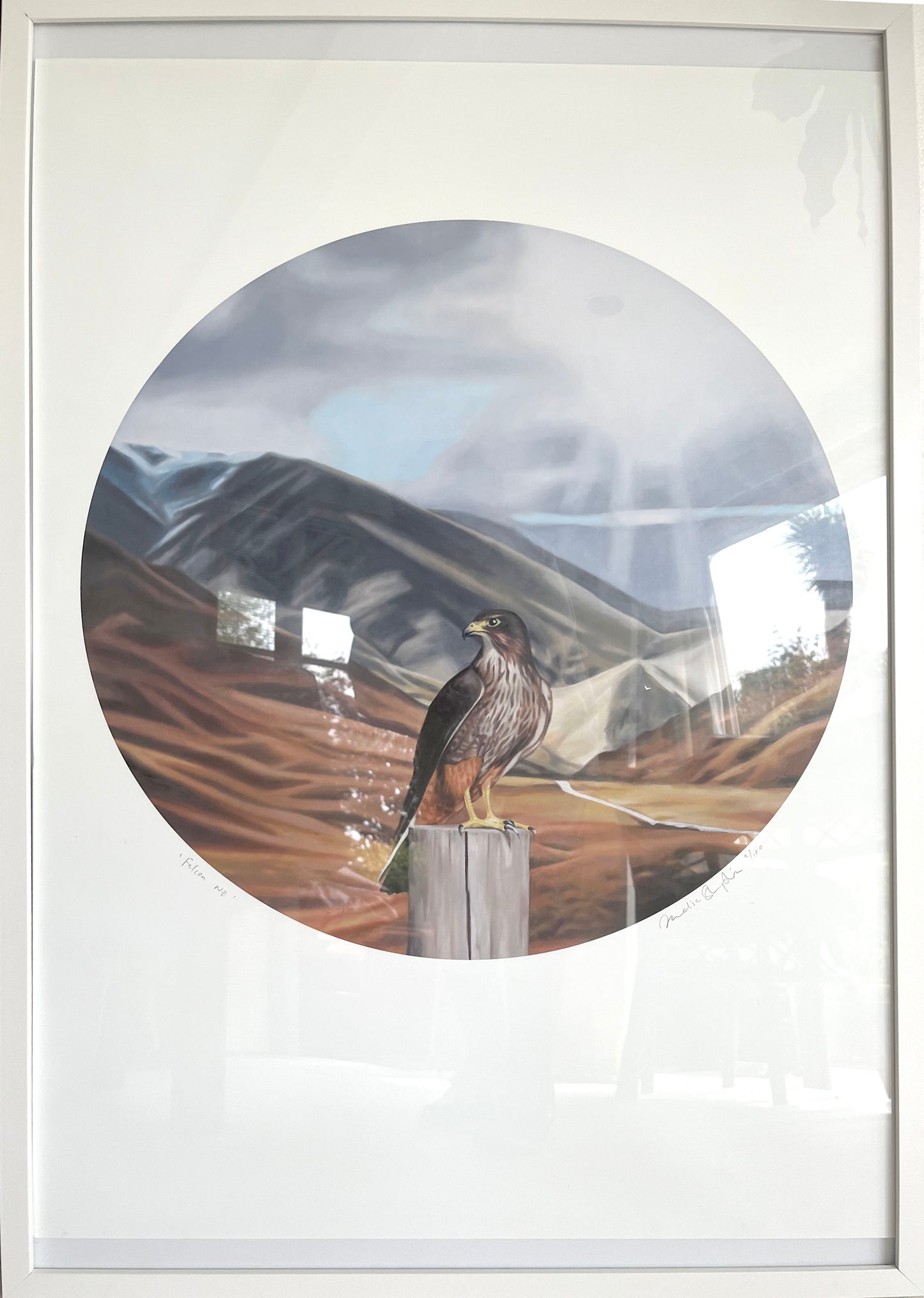 Falcon Round Framed Print