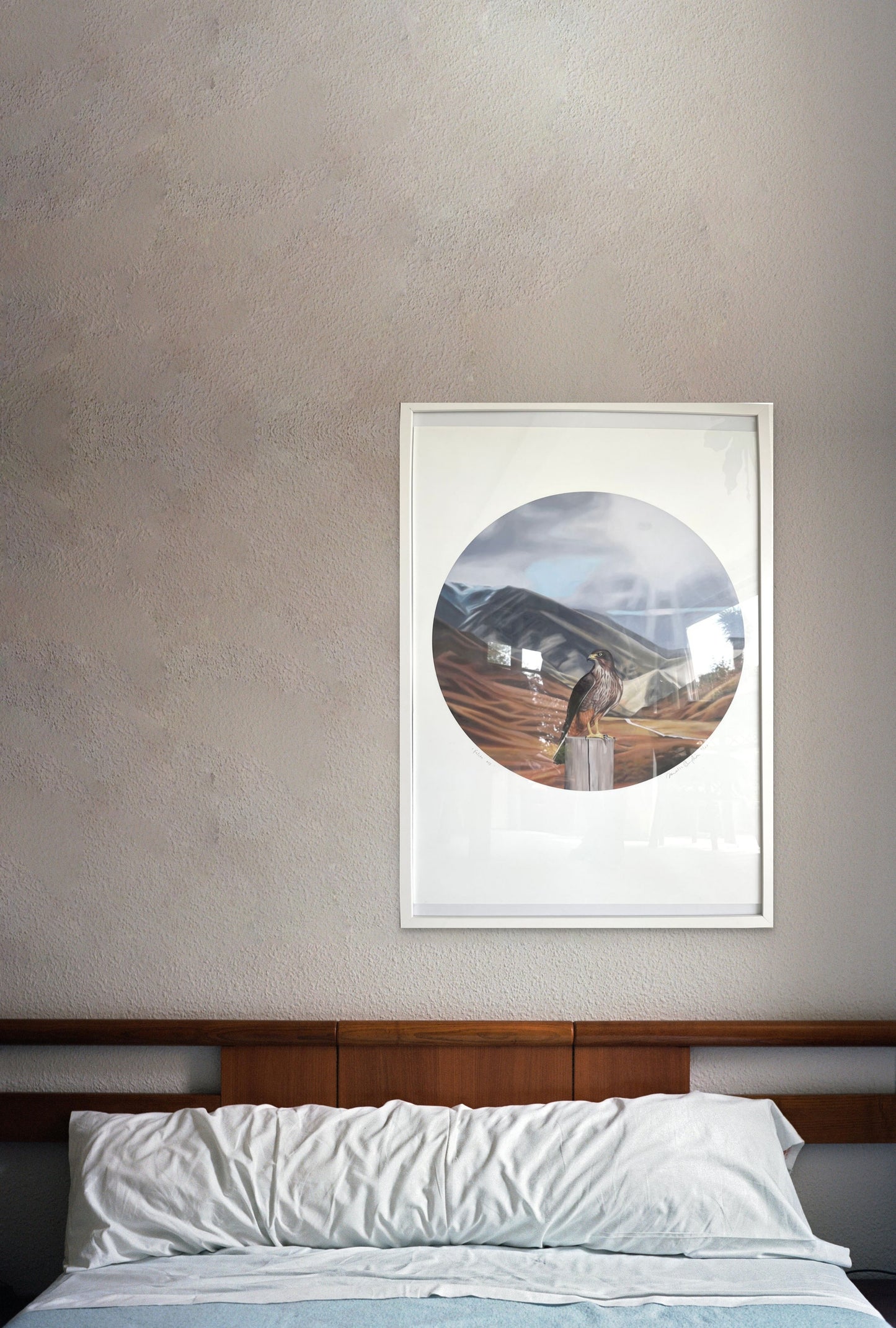 Falcon Round Framed Print