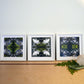 Sounds Native Triptych, White Frames